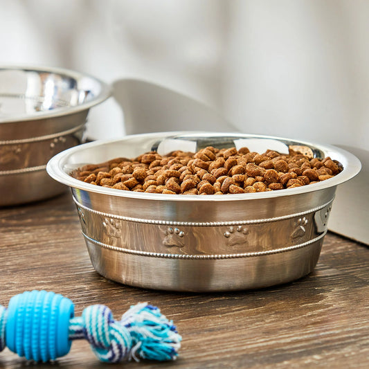 Vibrant Life Stainless Steel Paw & Beads Imprint Dog Bowl Medium